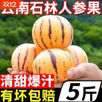 2025十款热门人参果产品榜 值得入手的新鲜水果推荐