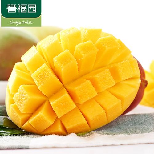 攀枝花凯特芒果 新鲜大青芒，批发优选的水果佳品