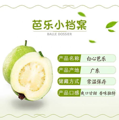 番石榴珍珠芭乐白心新鲜热带水果清脆香甜农家特产果园现摘包邮