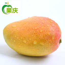 果庆 海南三亚热带特产新鲜贵妃芒水果 国淘